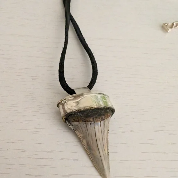 Shark tooth sterling silver necklace - Picture 2 of 3
